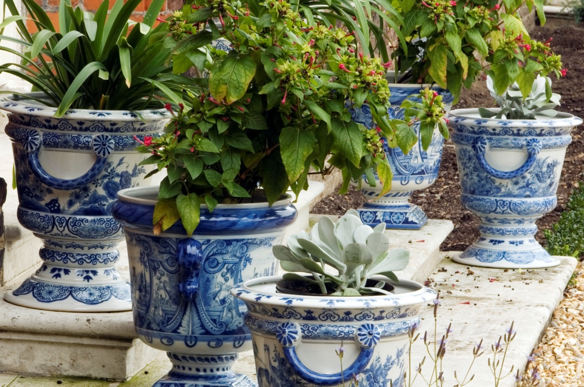 Keukenhof  – Zahrada holandských tulipánů